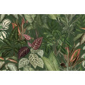 Безшовні фотошпалери Engraving leaves4